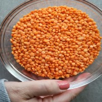 Factory Sale Hot Seller Red Split Lentils No Impurities Red Lentils Split Red Lentils