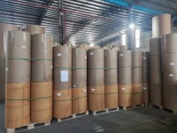 Factory Supply Kraft Paper Roll for Make Food Bags or Lunch Box Material Craft Paper PE Offset Printing Brown Virgin Pa