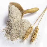 Quality Whole Wheat Flour for Export Wheat Flour 50kg/ Organic Strong Bulk White Wheat Flour Price Ton