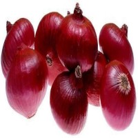 Best Quality Fresh Onion Price Ton on Fresh Red Onions for Sale by Onion Suppliers