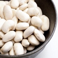 Hot Selling Good Quality Healthy Long White Sugar Bean Dry White Kidney Beans Natural
