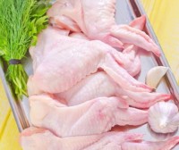 Processed Chicken Wings Grade 1, Halal Certified Chicken Wings, Joint Chicken Wings Fresh & Frozen Chicken Joint Wings