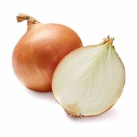 Lowest Price Fresh Red Onion/yellow Onion/white Onion for Sale