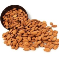 Cheap Price Wholesale Almond Nuts for Sale in Bulk Sells Fresh Healthy Large Grain Delicious Natural Roasted Almond Nut