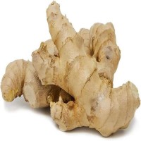 Hot Selling Fresh Ginger and Garlic Wholesale Ginger Fresh Bulk Fresh Ginger