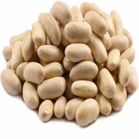 Hot Selling Good Quality Healthy Long White Sugar Bean Dry White Kidney Beans Natural