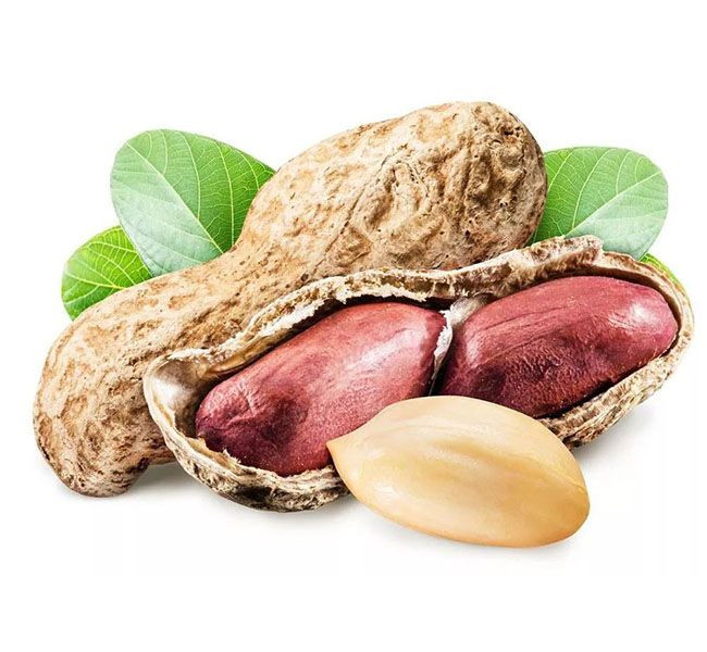 Wholesale 100% Natural Raw Peanuts High Quality Dried Nuts without Shell Ad Drying Process