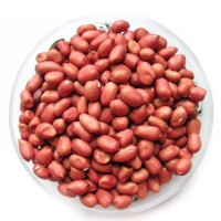 Wholesale 100% Natural Raw Peanuts High Quality Dried Nuts without Shell Ad Drying Process