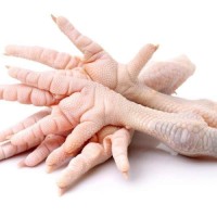 Wholesale Halal Chicken Feet / Frozen Chicken Paws Brazil / Fresh Chicken Wings and Feet and Paws
