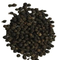 Best Quality Organic Whole Black Pepper Single Herbs & Spices From Vietnam Factory at Low Wholesale Price