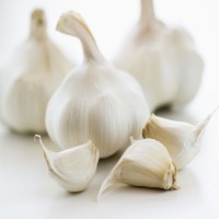 Hot Sale Price Fresh Organic Natural Garlic / New Crop Fresh Garlic bulk Supplier