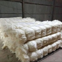 Sisal Fiber UG Grade Agave Fiber for Gypsum Cream White 100kgs/bale