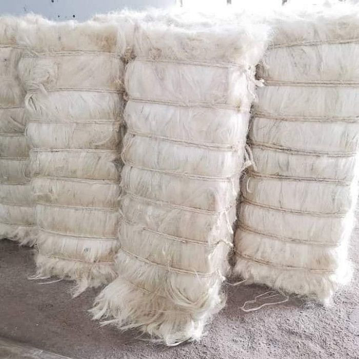 Sisal Fiber UG Grade Agave Fiber for Gypsum Cream White 100kgs/bale