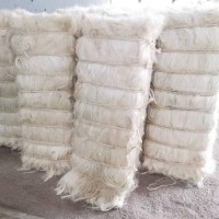 Sisal Fiber UG Grade Agave Fiber for Gypsum Cream White 100kgs/bale