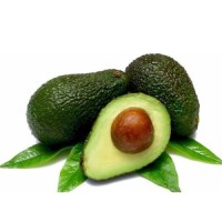 Avocado Hass Fresh Avocado From Mexico Green Tropical Style Color Weight Origin Wholesale Fresh Premium Avocado