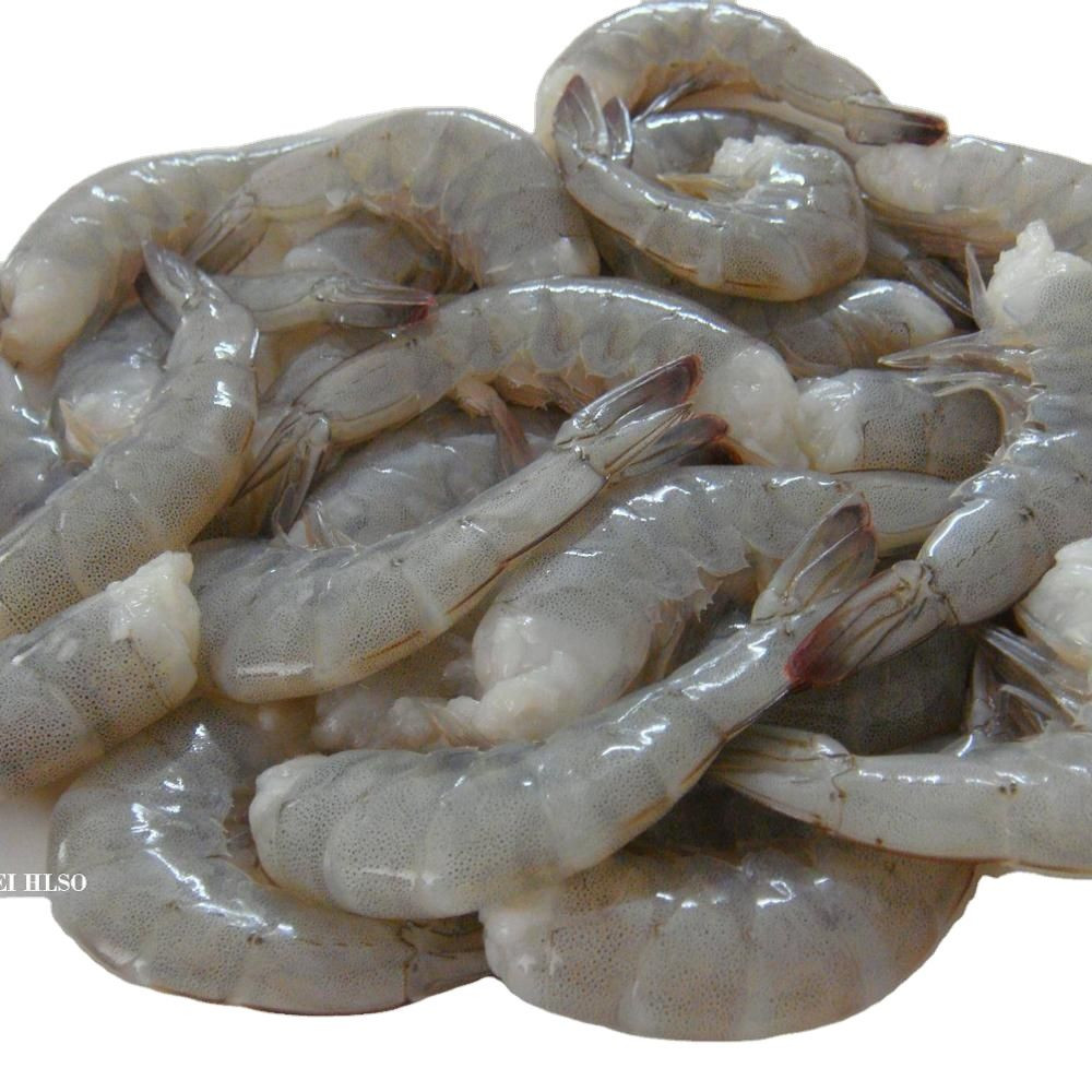 Frozen White Shrimp Delicious and Healthy Fresh Seafood Natural Vannamei Shrimp Small Shrimp