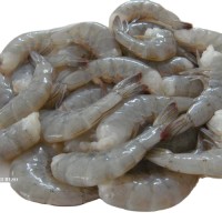 Frozen White Shrimp Delicious and Healthy Fresh Seafood Natural Vannamei Shrimp Small Shrimp