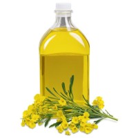 Premium Quality 100% Pure Organic Canola Oil for sale