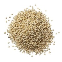 Wholesale Price Supplier of Organic Seeds White Quinoa Grains Health care Grains Bulk Stock With Fast Shipping