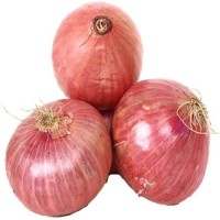 Best Quality Fresh Onion Price Ton on Fresh Red Onions for Sale by Onion Suppliers