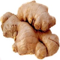 Hot Selling Fresh Ginger and Garlic Wholesale Ginger Fresh Bulk Fresh Ginger