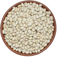 Hot Selling Good Quality Healthy Long White Sugar Bean Dry White Kidney Beans Natural