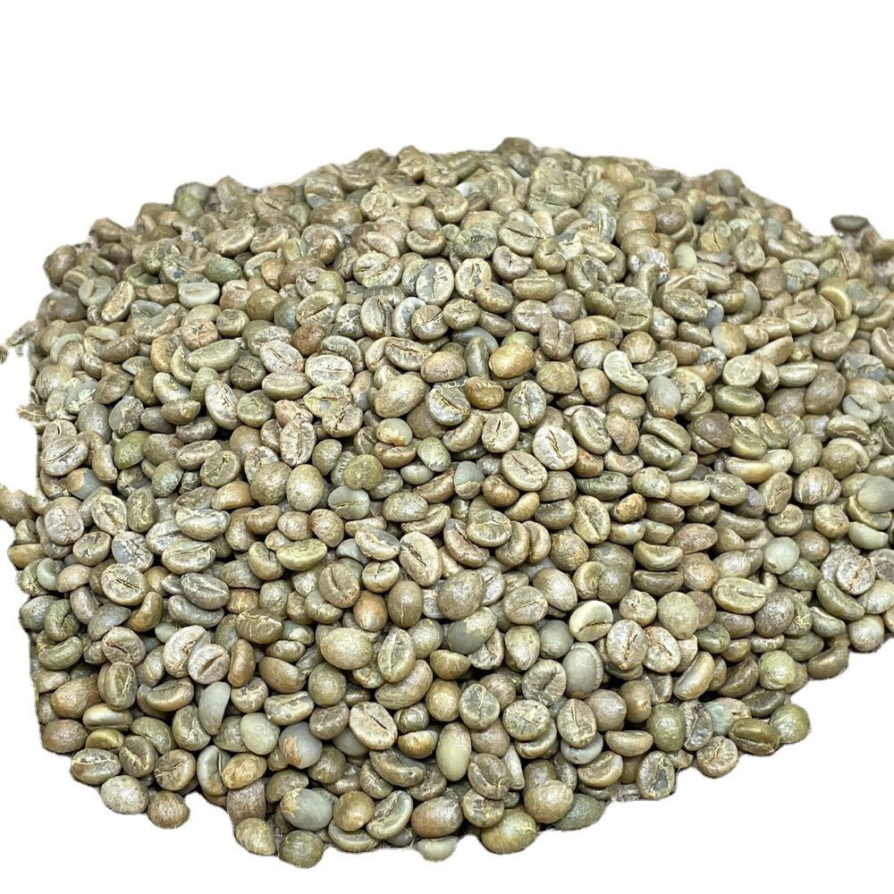 Arabica Coffee Beans Premium Quality in Stock Now Freshly Packed with Fast Delivery for Cafes and Home Use
